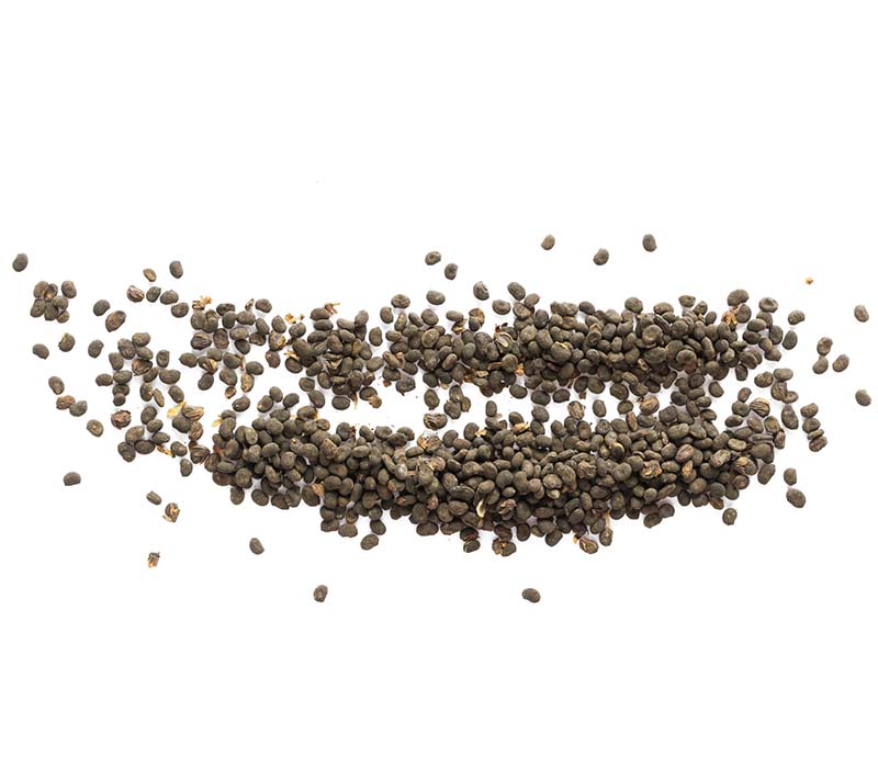 stock image of babchi seeds