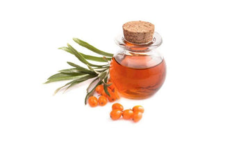stock image of sea buckthorn oil