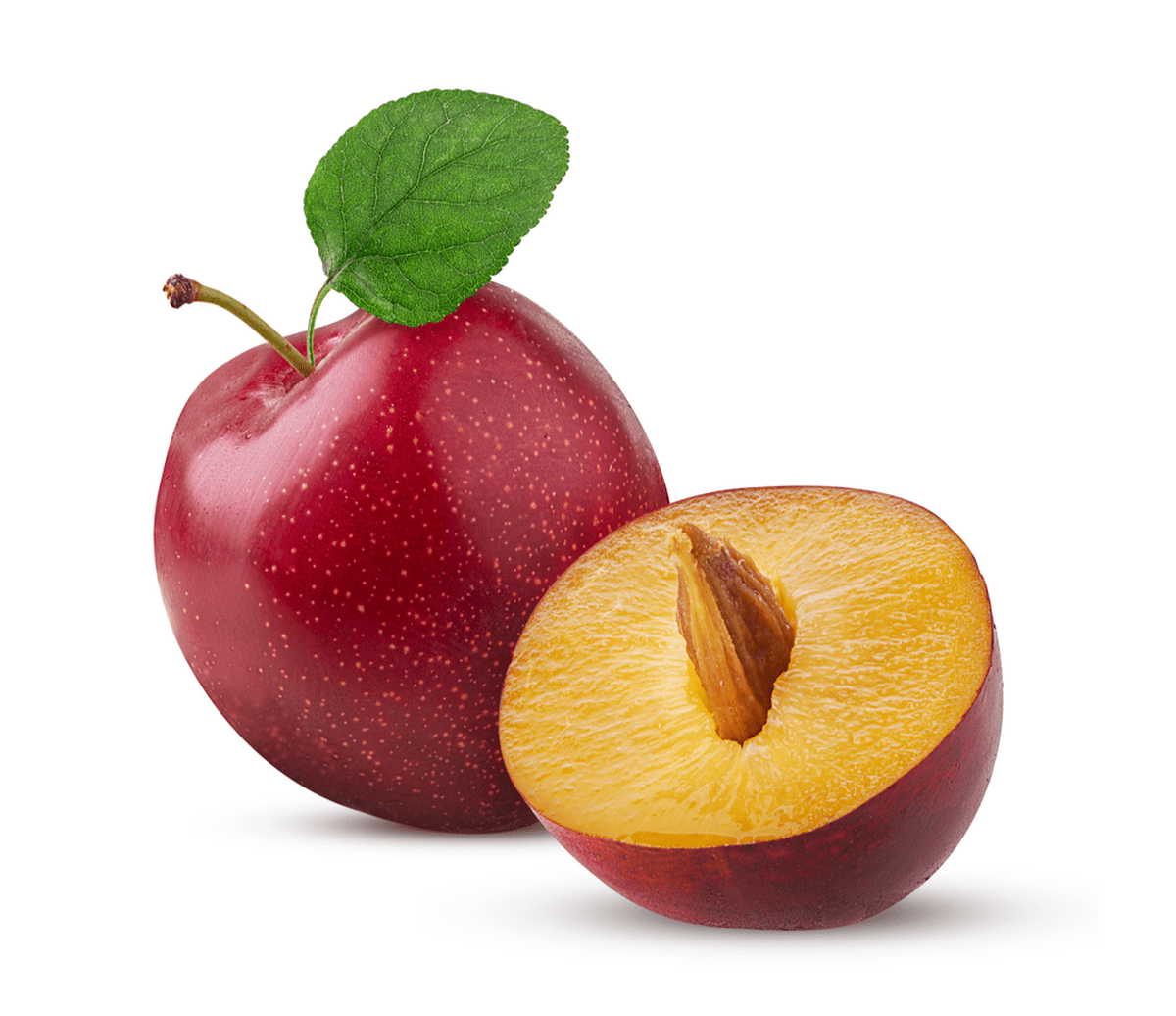 stock photo of a plum