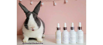Cruelty-Free & Vegan Beauty: What You Need to Know