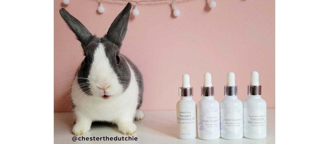 stock photo of skincare