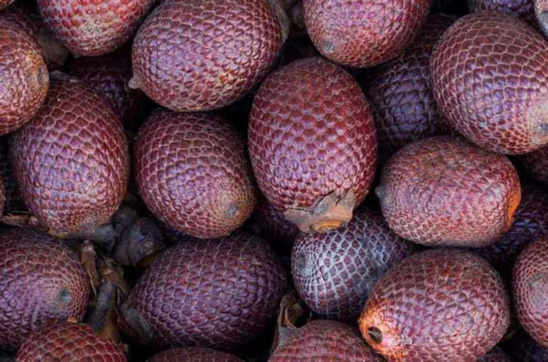 stock image of buriti fruit