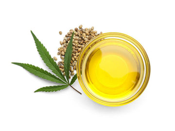 Hempseed Oil vs. CBD Oil for Skincare: Fact Finding and Myth Busting