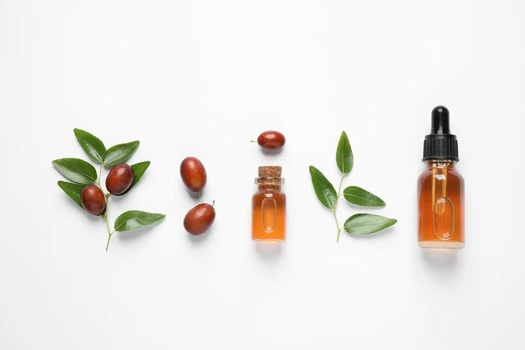 stock image of jojoba and its oil