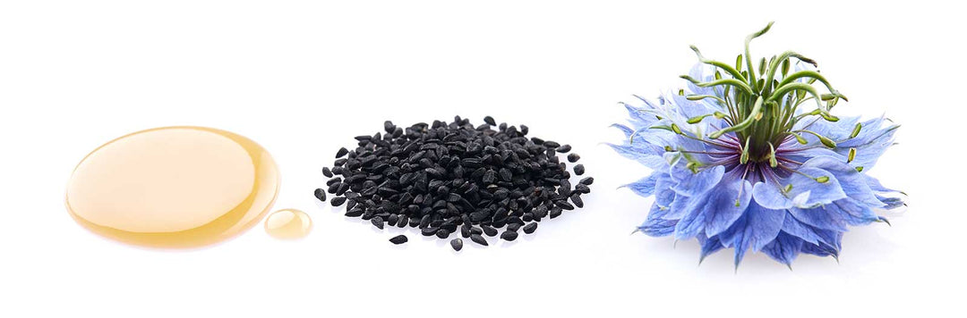 Stock photo of nigella sativa oil, seeds, and flower