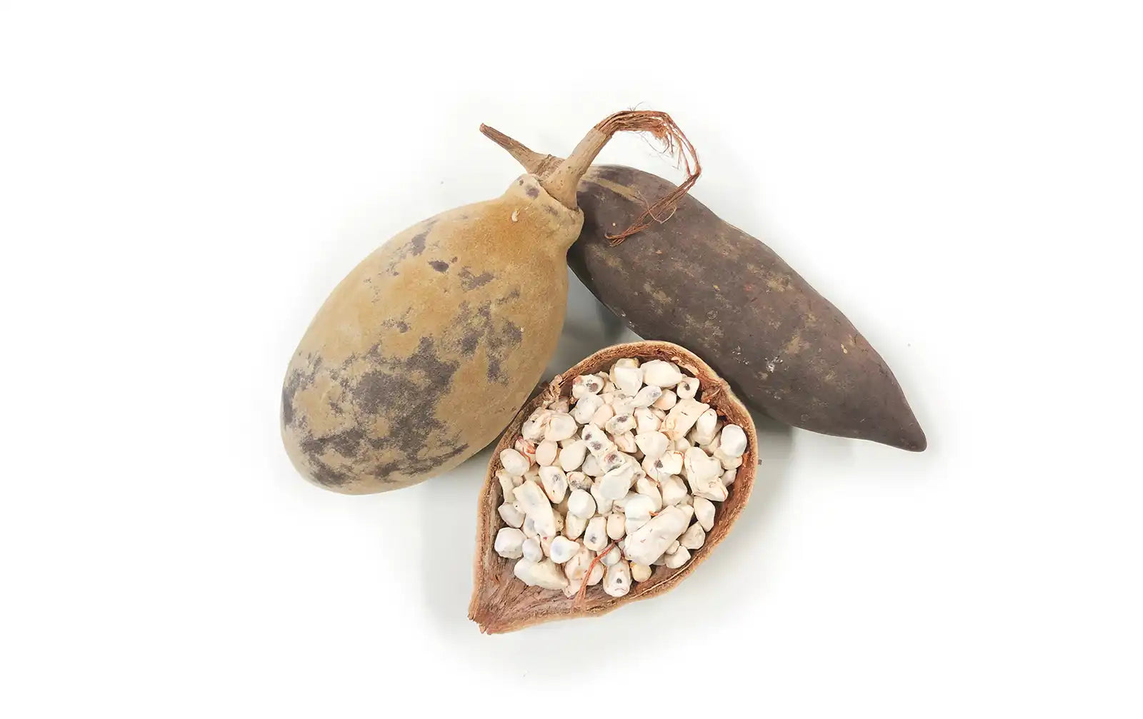 stock photo of baobab fruit and seeds