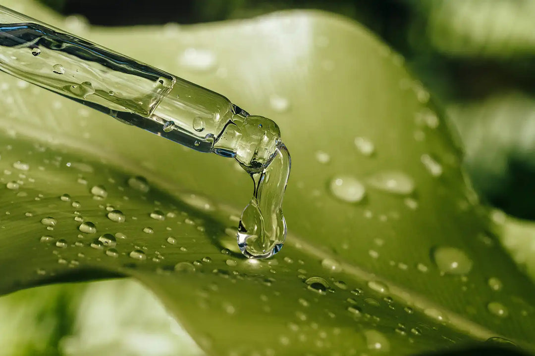 stock photo of a closeup of a green leaf with water droplets and a cosmetic dropper