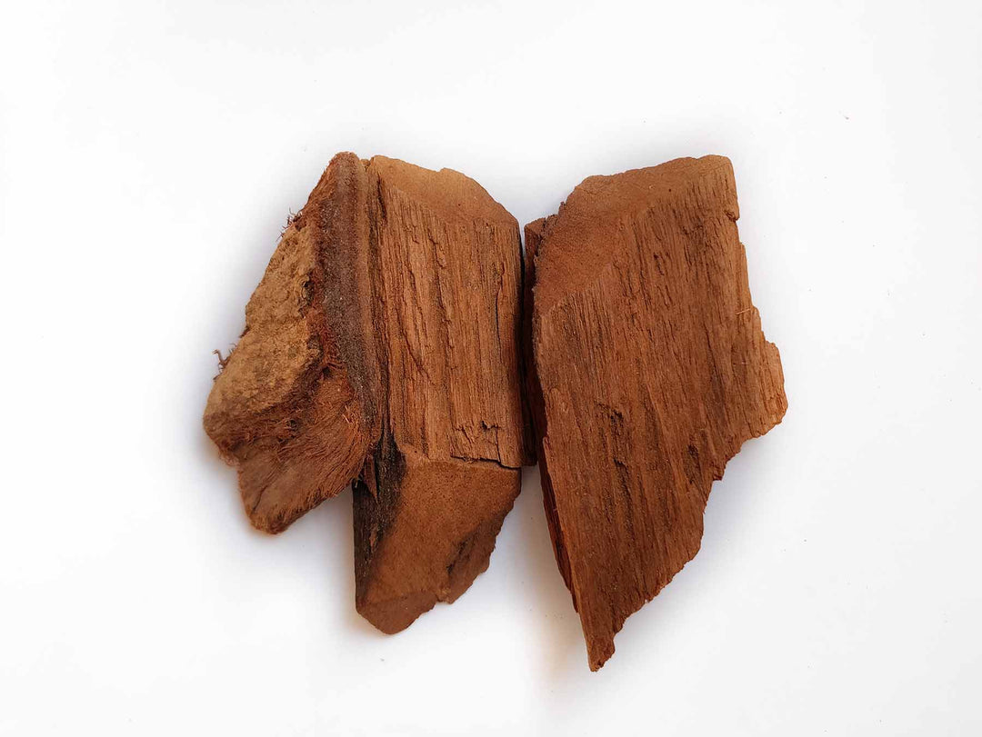 Stock photo of pterocarpus marsupium bark