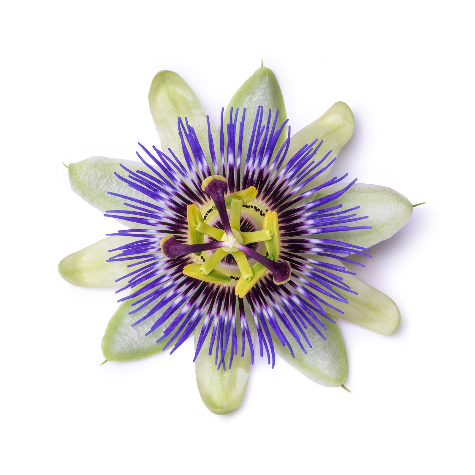 Skincare Elixir: Discover Its Sustainable Secrets Skincare Elixir: Discover Its Sustainable Secrets