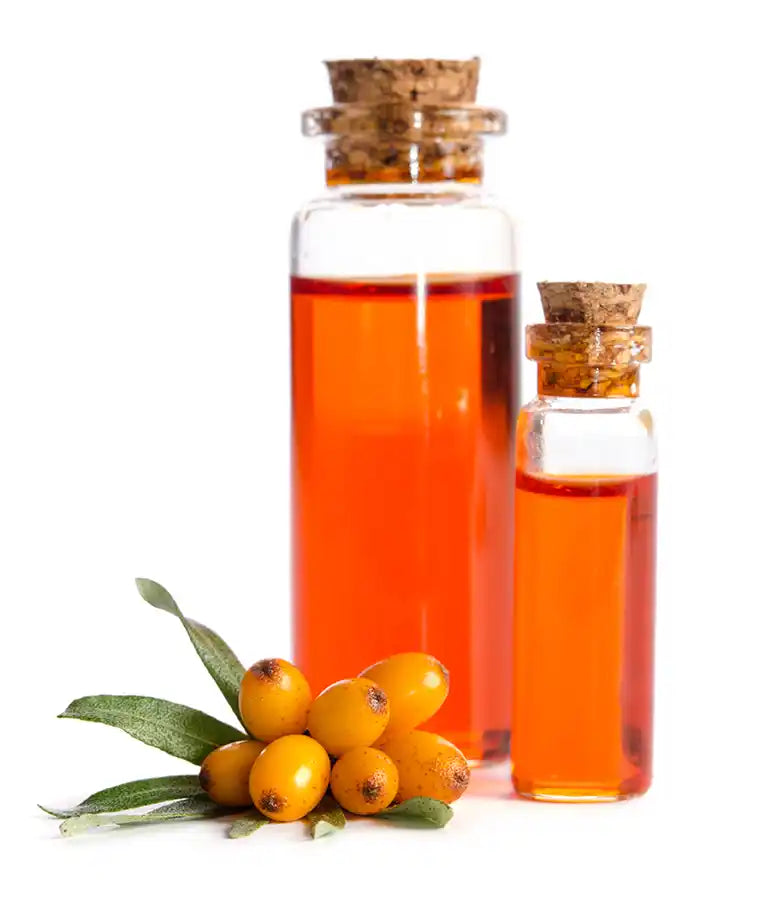 stock photo of sea buckthorn oil